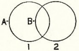 Overlapping Cycles